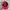 Streetwear Skater Hat Pria red photo 3