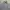 Polo Ralph Lauren Luxury Formal shirt Pria white gray photo 4