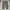 Streetwear Skater Jeans Pria green photo 2