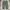 Streetwear Skater Jeans Pria green photo 3