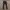 Hollister Casual Casual Pants Pria Multicolor