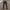 Hollister Casual Casual Pants Pria Multicolor