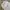 Streetwear Skater Sweatpants & Joggers Pria white gray photo 4