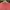 Guess Luxury Minimalist Sweater Pria pink photo 3