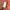 Guess Luxury Minimalist Sweater Pria pink photo 4