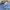 Champion Sportswear Casual Track jacket Pria blue photo 2