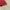 Sportswear Minimalist T-shirt Pria red photo 2