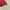 Sportswear Minimalist T-shirt Pria Red