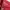 Sportswear Minimalist T-shirt Pria red photo 3