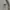 Polo Ralph Lauren Minimalist Cardigan Pria tan photo 5