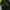 Biker Casual Windbreaker Pria green black photo 5