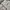 Polo Ralph Lauren Casual Formal Pants Pria Tan