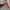 Sportswear Minimalist Tracksuit Pria green photo 5