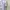 Burberry Casual Baju bayi Kids white photo 3
