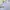 Burberry Casual Baju bayi Kids white photo 4
