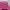 Columbia Casual Wanita pink photo 2