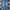 Vintage Y2K Jeans Pria Blue