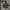 Y2K Jeans Pria black photo 1