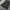 Y2K Jeans Pria black photo 6