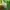 Ellesse Sportswear Minimalist Sweater Pria green yellow photo 4