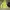 Ellesse Sportswear Minimalist Sweater Pria green yellow photo 1