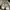 Yves Saint Laurent YSL Luxury Casual Casual shoe Pria white photo 4