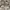 Yves Saint Laurent YSL Luxury Casual Casual shoe Pria white photo 3