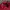 Tommy Hilfiger Futurist Casual Sweatshirt Pria Red