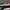 Puma Sportswear Sneakers Pria multicolor photo 1
