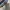 Nike Streetwear Sportswear Sneakers Pria multicolor photo 6