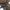Japanese brand Vintage Pria brown photo 6