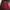 Vintage Casual Harrington Jacket Pria Red