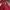 Vintage Casual Harrington jacket Pria red photo 7