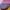 Le Coq Sportif Vintage Hat Pria pink blue photo 2