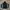 Needles Y2K Casual Track jacket Pria white black photo 1