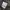 Needles Y2K Casual Track jacket Pria white black photo 6
