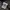 Needles Y2K Casual Track jacket Pria white black photo 5