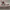 Casual Sneakers Pria cream photo 1