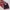 DASI FORMAL UNISEX ORIGINAL photo 6