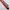 DASI FORMAL UNISEX ORIGINAL photo 3