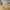 Uniqlo Streetwear Casual Casual pants Pria tan photo 1