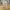 Uniqlo Streetwear Casual Casual Pants Pria Tan