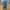 Uniqlo Streetwear Casual Casual pants Pria blue photo 2