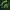 Carhartt Sportswear Casual Harrington jacket Pria green photo 4