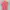 Hangten Streetwear Formal shirt Pria pink photo 5