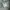 Carhartt Minimalist Casual Casual shirt Pria green photo 6