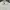New Balance Luxury Casual Crop top Wanita white photo 3