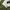 Skater Casual Brief Pria green photo 3