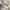 Vintage Coquette Prom dress Wanita cream photo 5