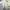 Vintage Coquette Prom dress Wanita cream photo 4
